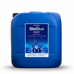 GloBlue EASY